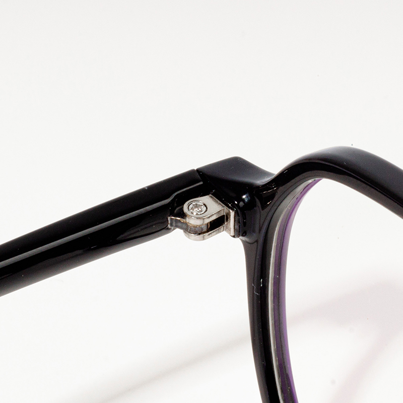 eyewear frame