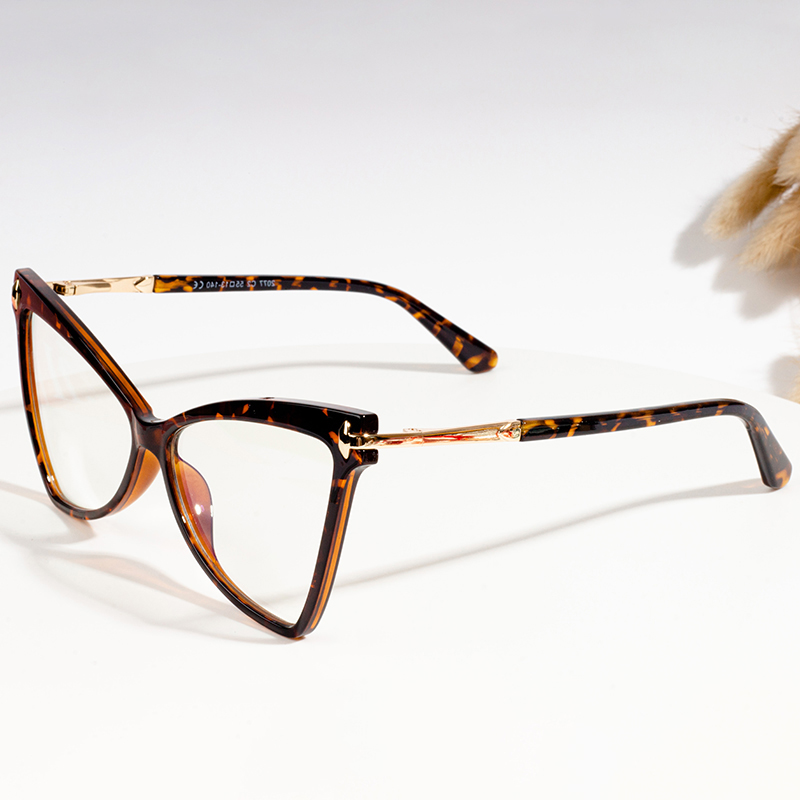 designer eyeglass frames evakadzi