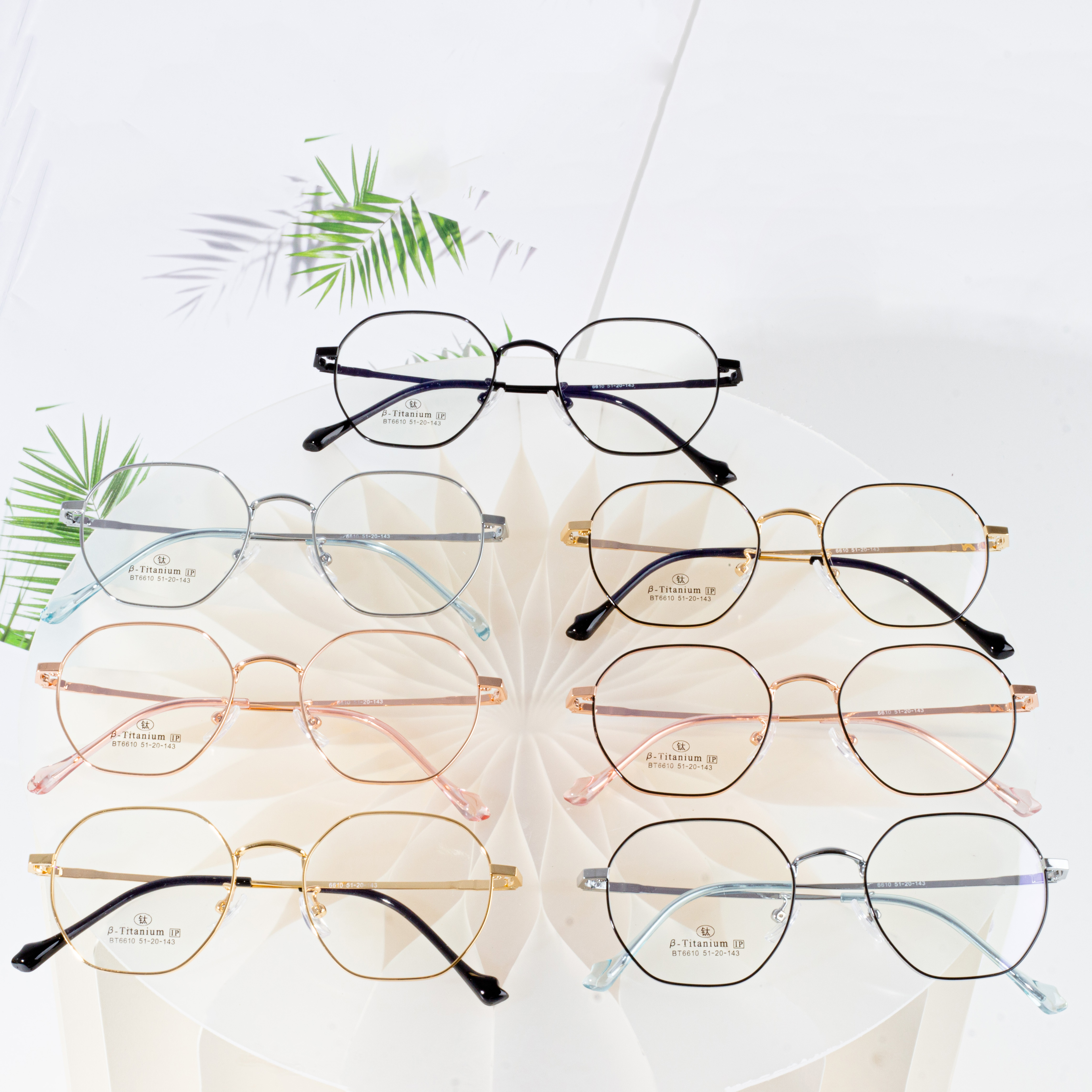 eyeglasses with changeable frames